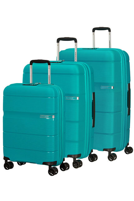 Linex Luggage set